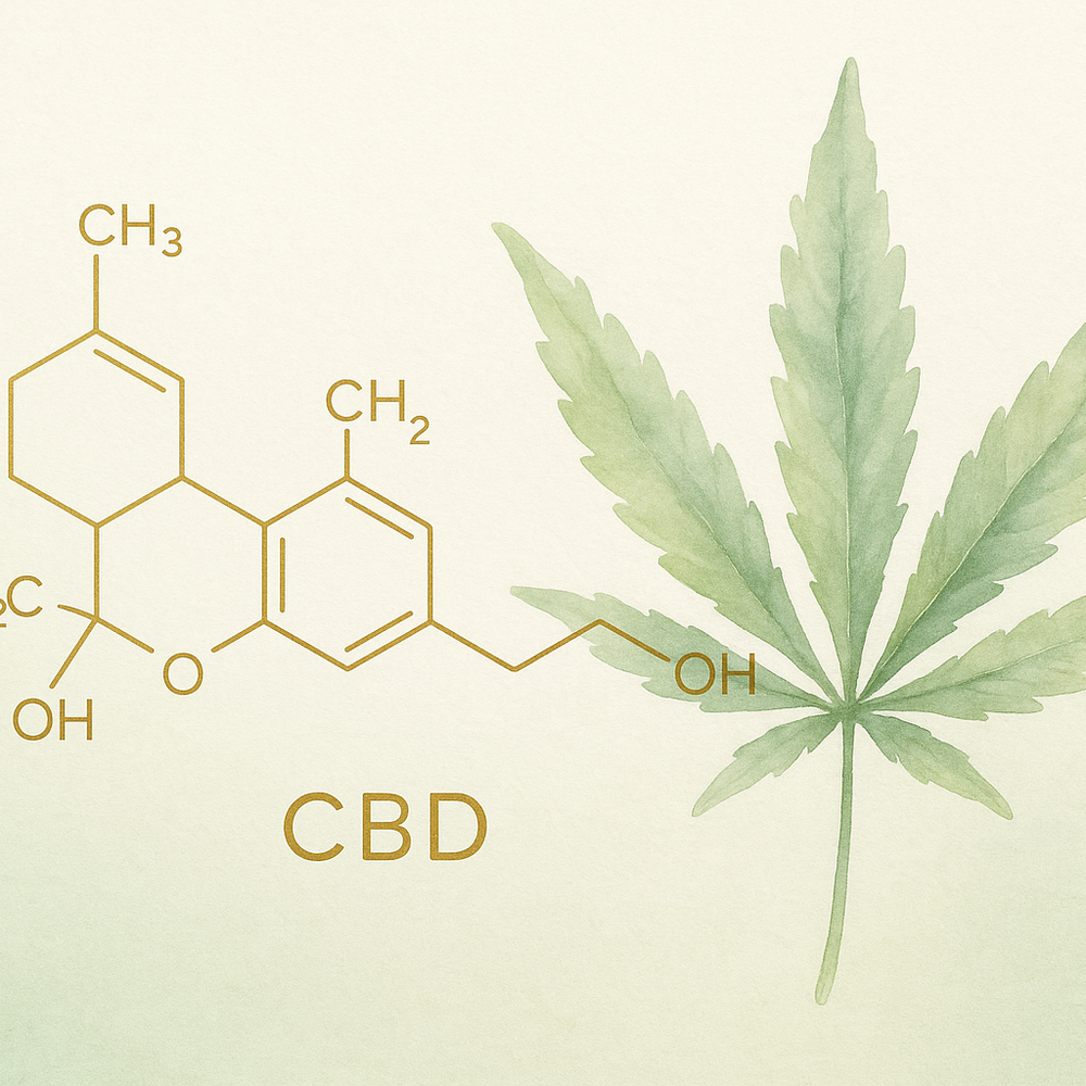 CBD Is Not Cannabis: Why Our Bodies Are Built for It and Why You Shouldn’t Fear It